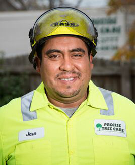 Precise Tree Care – Specializing In All Your Tree Care Needs