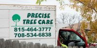 Precise-Tree-Care-2